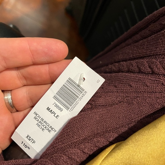 BNWT Aritzia Maple Dress in Burgundy - Picture 3 of 10